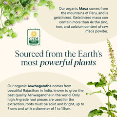 Ora Organic Hormone Balance packaging on display with clean design