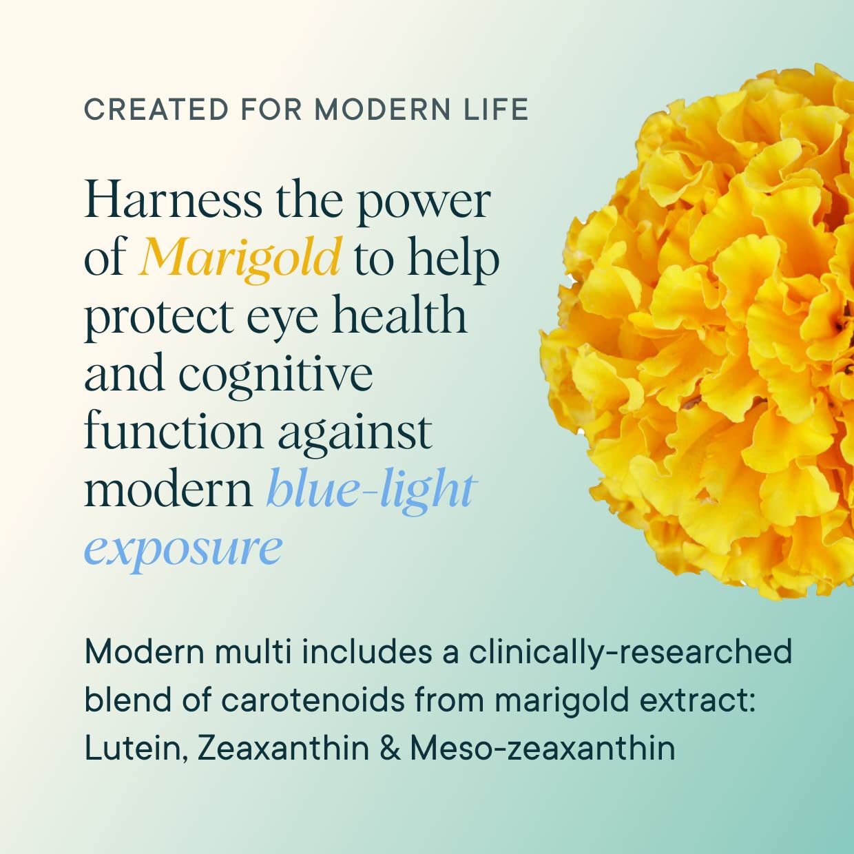 Ora Organic Modern Multi immune support focus with essential nutrients.