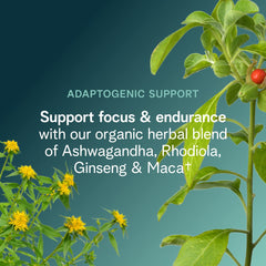 Close-up of powder scoop and label on Ora Organic Raspberry Lemonade pre workout