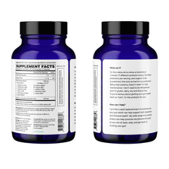 Ora Organic Probiotics digestive health visual communicates gut wellness benefits.