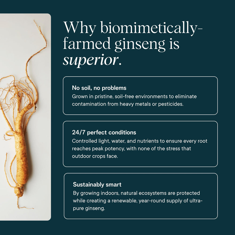 Sustainable indoor farming imagery associated with Ora Organic red ginseng sourcing.