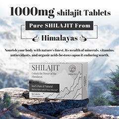 ORBILIVE Shilajit tablets, immunity and energy for on-the-go use.