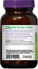 Milk thistle seed powder ready for potent herbal support in daily routine