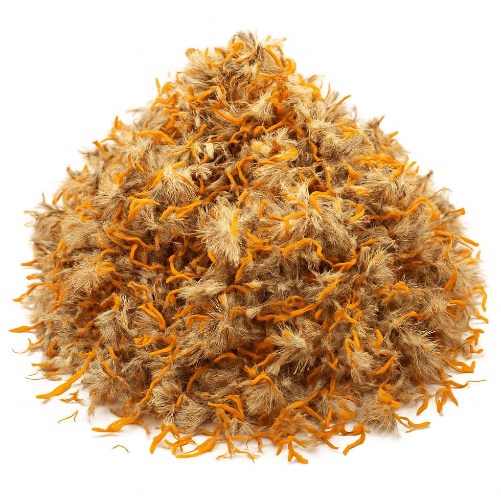 Organic Bio Herbs Arnica dried 4oz bottle showing fresh harvest and organic quality.