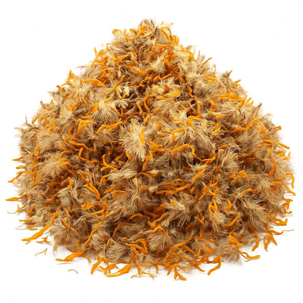 Organic Bio Herbs Arnica dried 4oz bottle showing fresh harvest and organic quality.