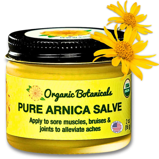 Organic Botanicals Arnica Salve jar closeup for soothing relief with natural ingredients.