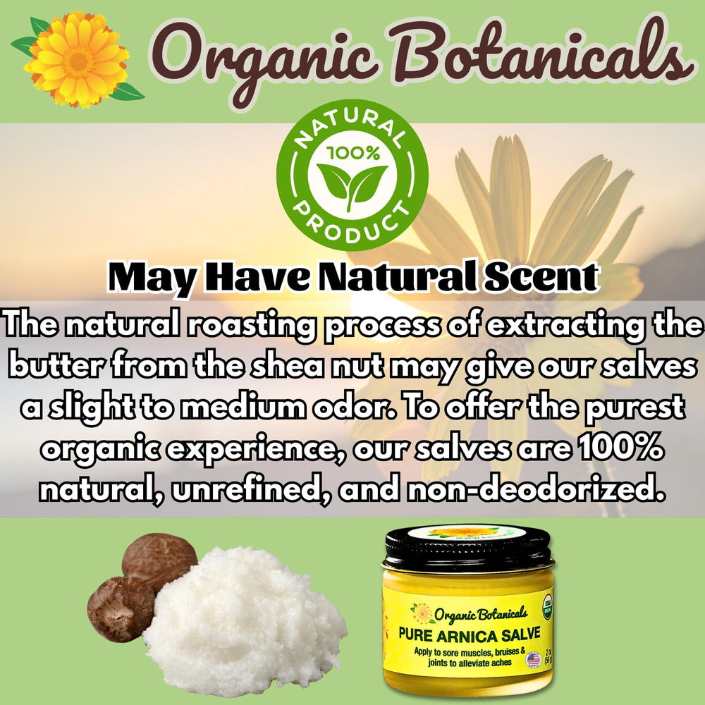Organic Botanicals Arnica Salve on natural wood backdrop conveys pure ingredients.