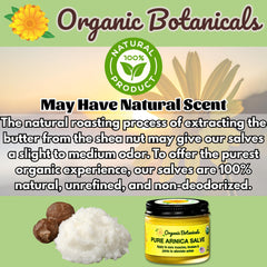 Organic Botanicals Arnica Salve on natural wood backdrop conveys pure ingredients.