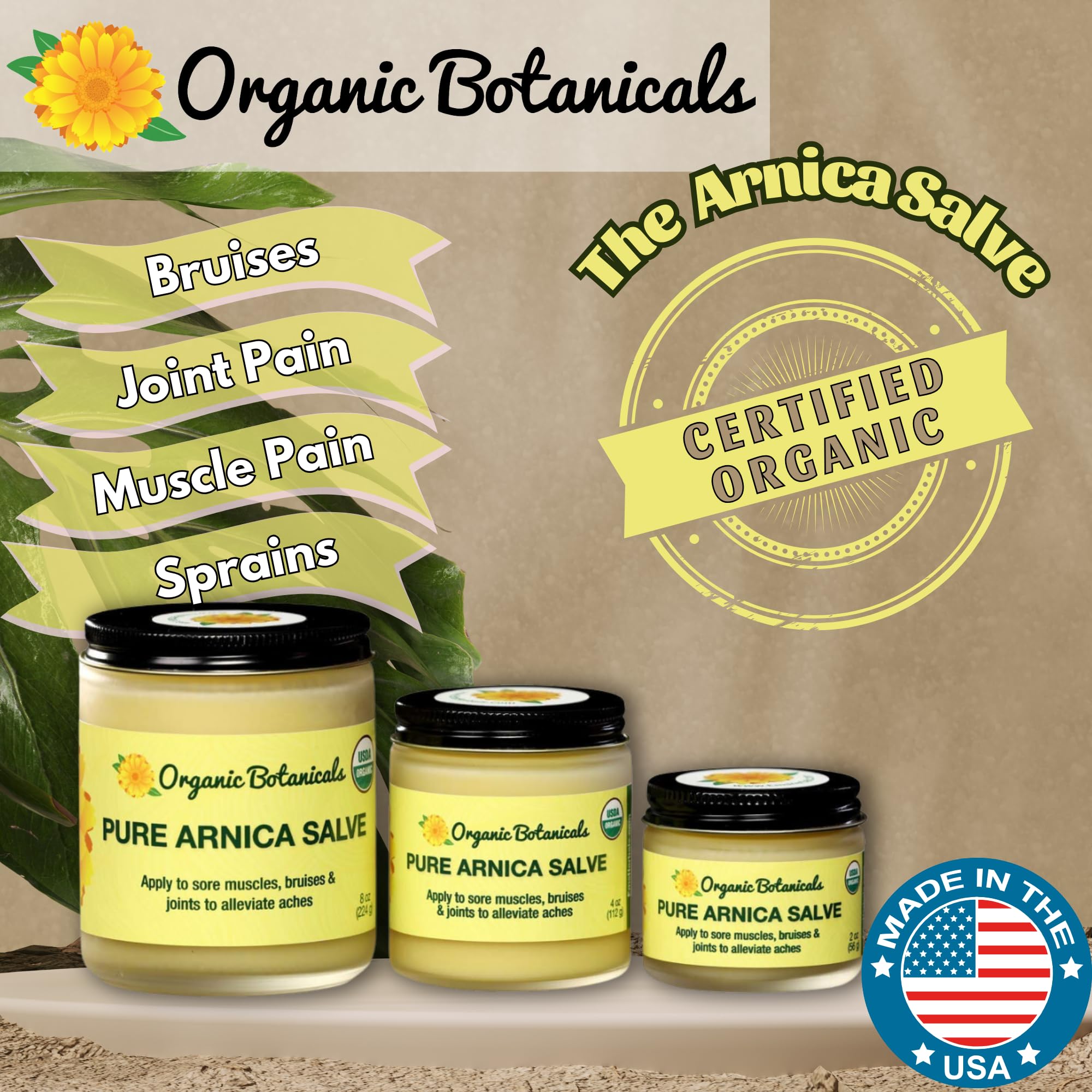 Organic Botanicals Arnica Salve packaging box communicates organic certification and clean ingredients.