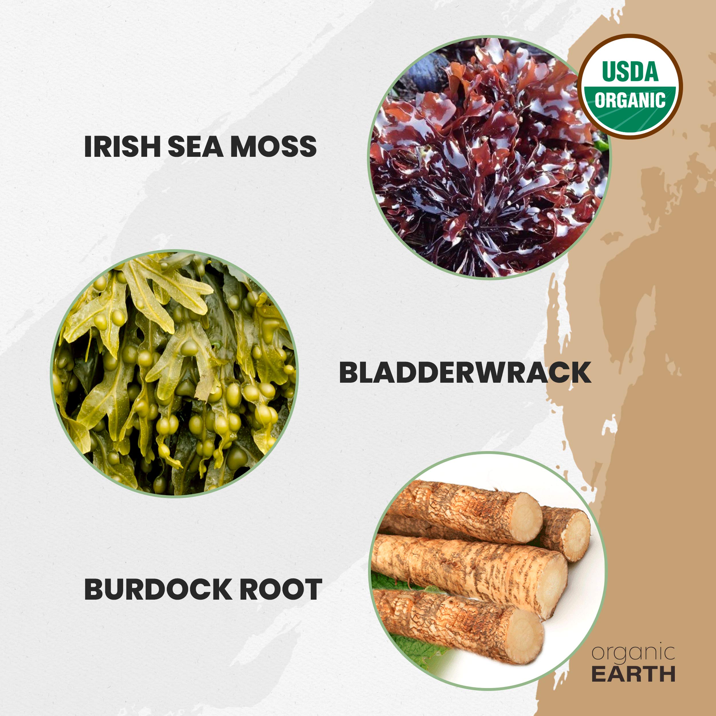 Organic Earth sea moss powder daily routine snapshot with benefits in mind