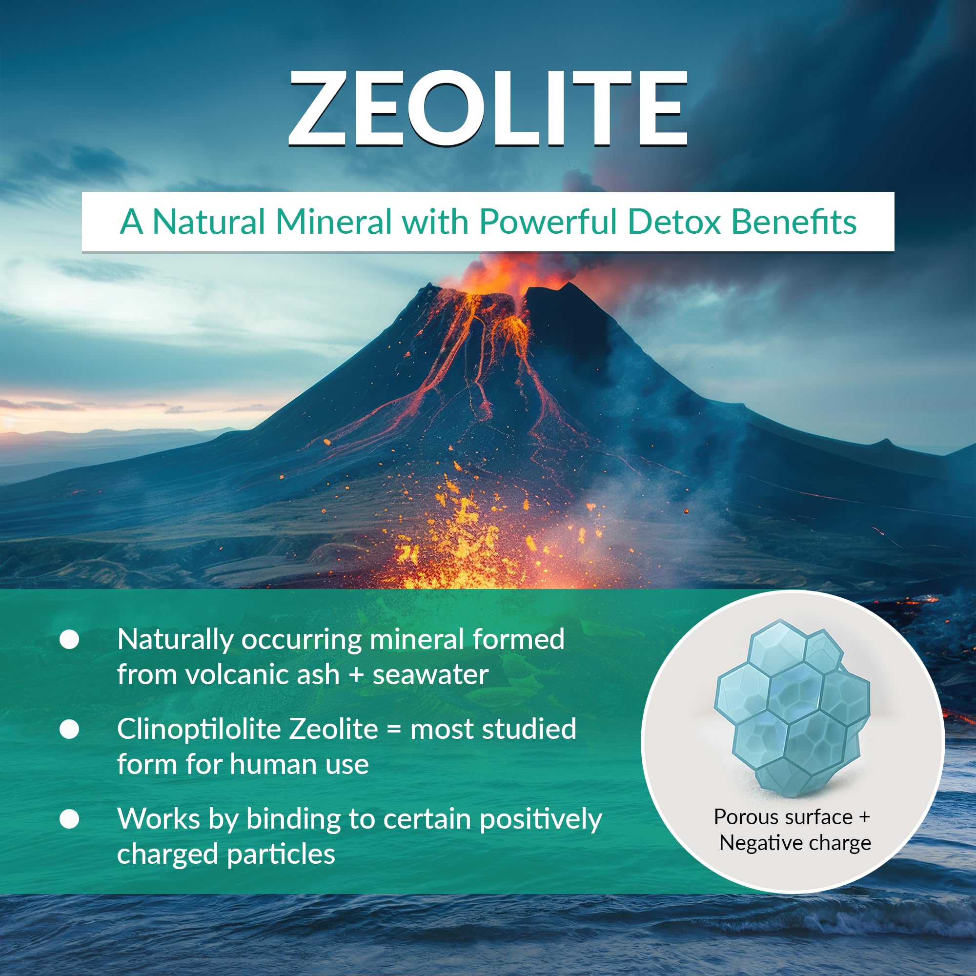 Organic Excellence Zeolite Clinoptilolite powder scoop for daily wellness.