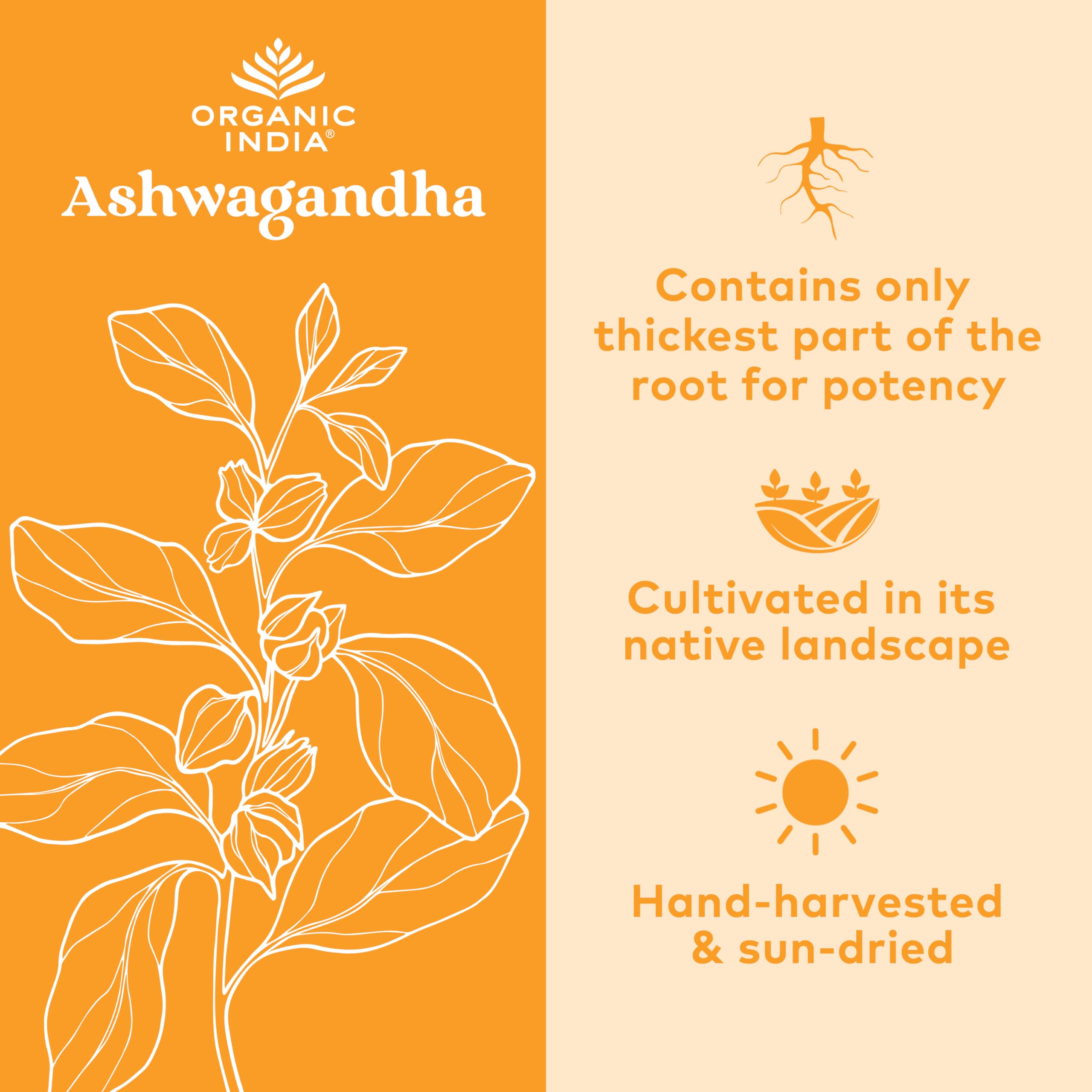 Close-up of Organic India Ashwagandha capsules with natural herb imagery.