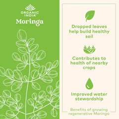Organic India Moringa Oleifera leaves showcase natural, nutrient-dense source.
