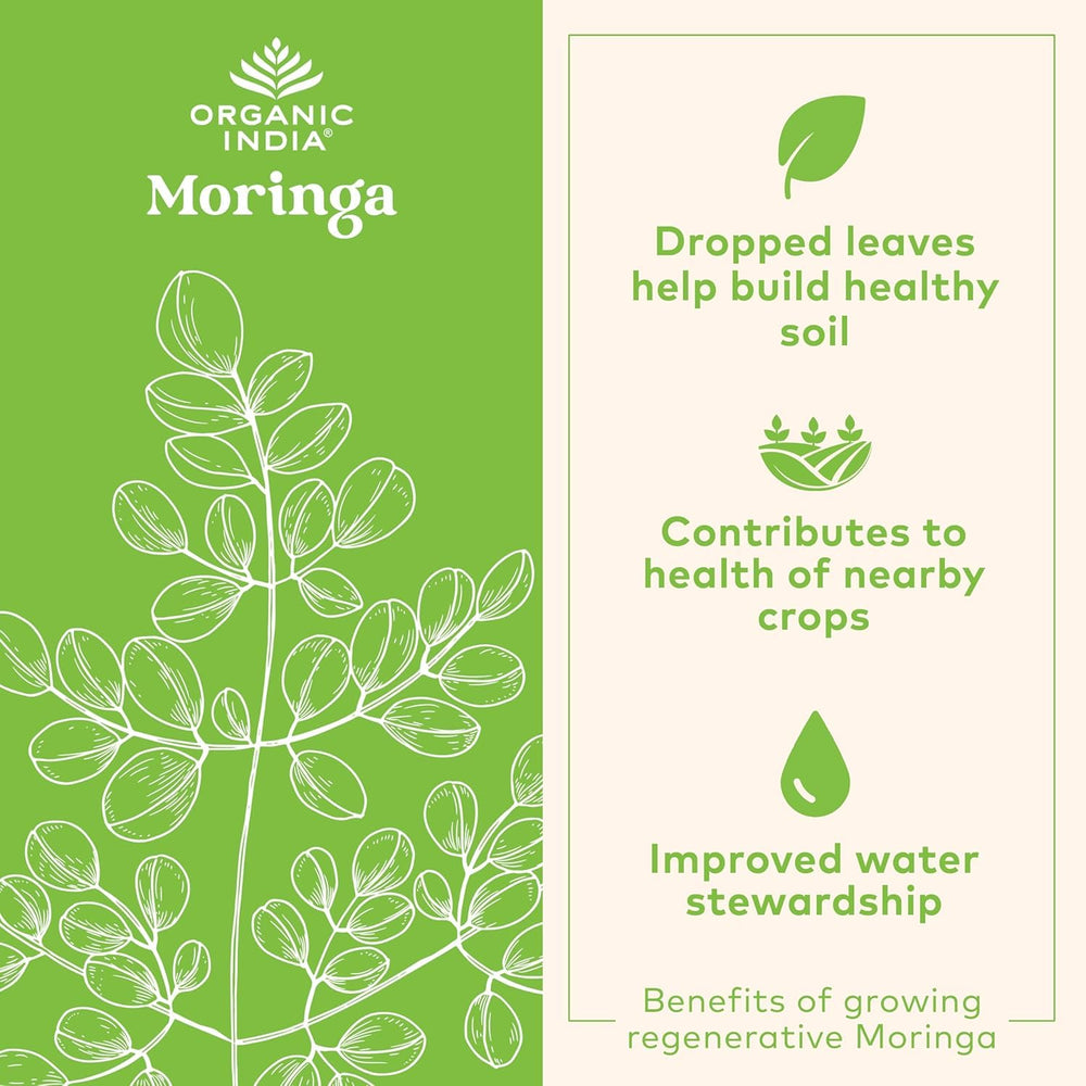 Organic India Moringa powder being added to a smoothie for energy support