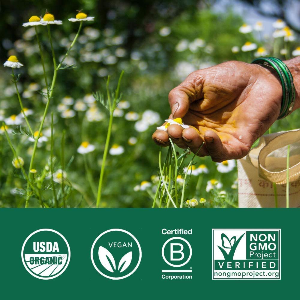 Organic India Neem capsules promoting immune balance and resilience.
