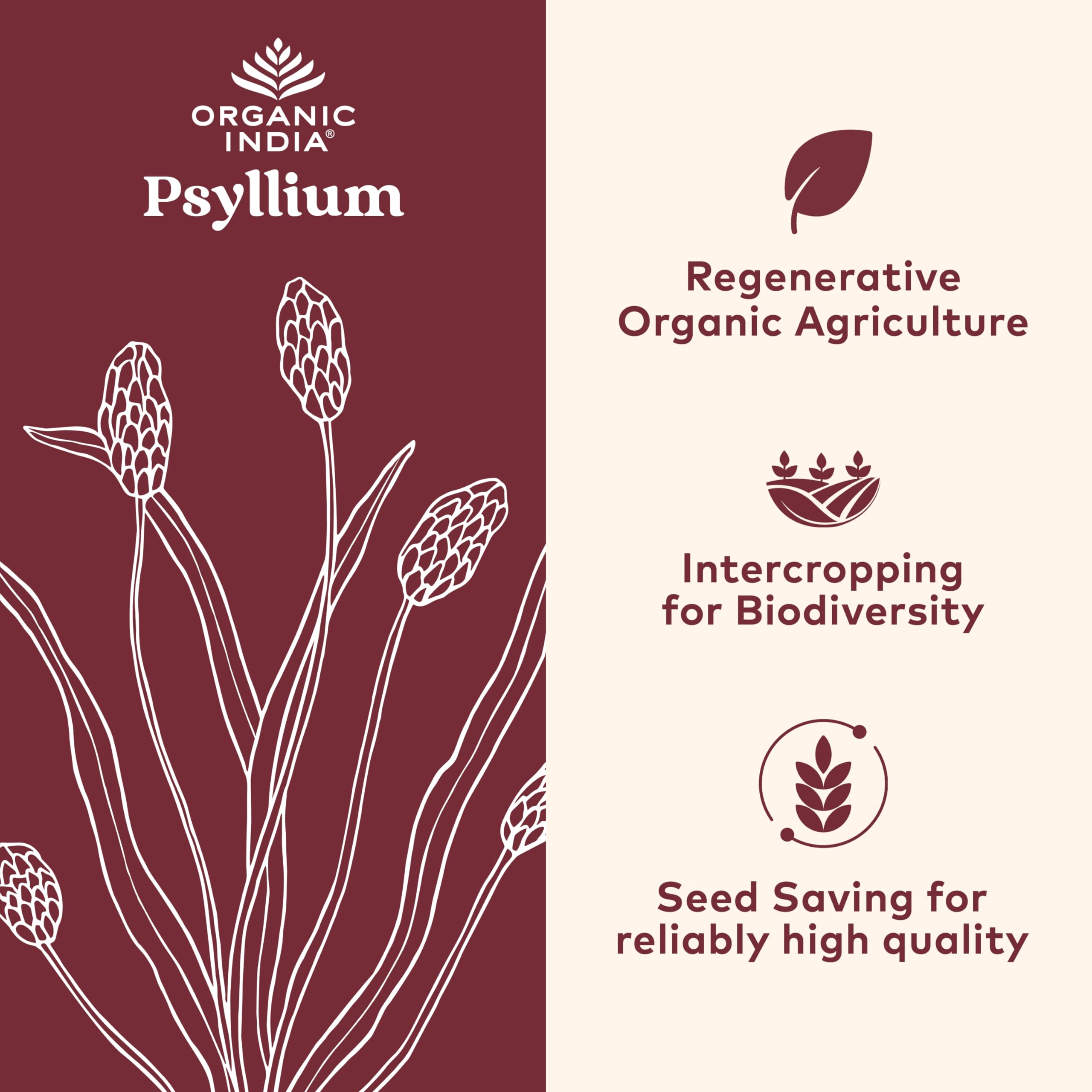 Organic India Psyllium powder pack of 2 for bulk fiber routine and vegan use