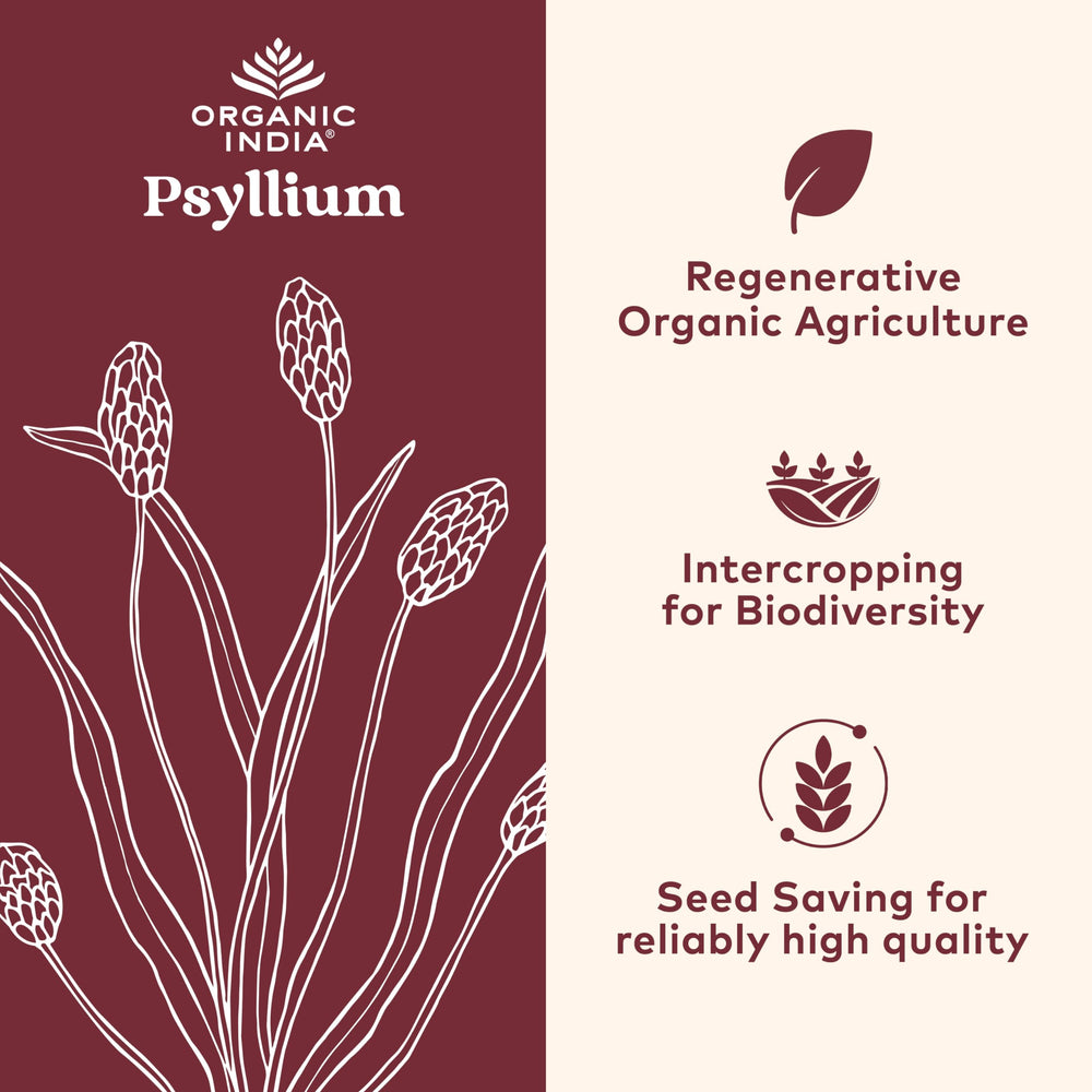 Organic India Psyllium powder pack of 2 for bulk fiber routine and vegan use