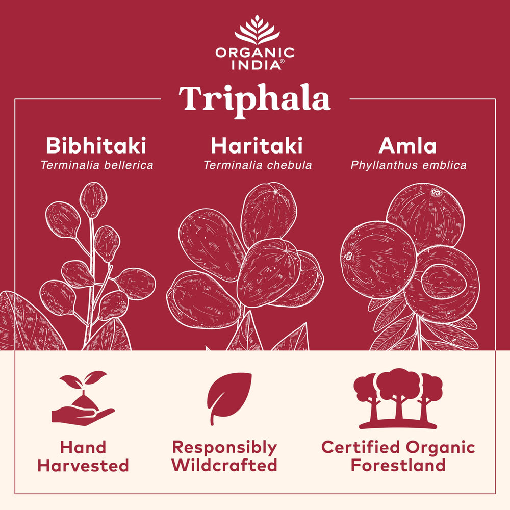 Closeup of Organic India Triphala capsules showing smooth texture for easy taking.