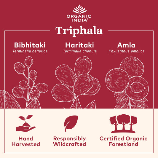 Closeup of Organic India Triphala capsules showing smooth texture for easy taking.