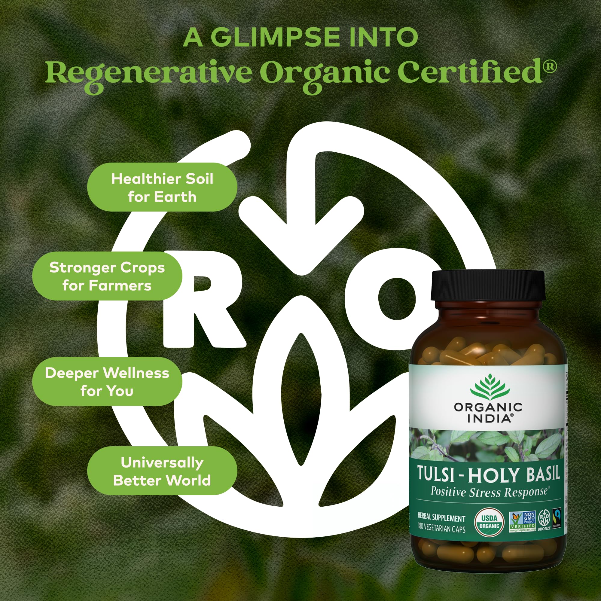 Organic India Tulsi capsules closeup highlighting pure herbal capsules