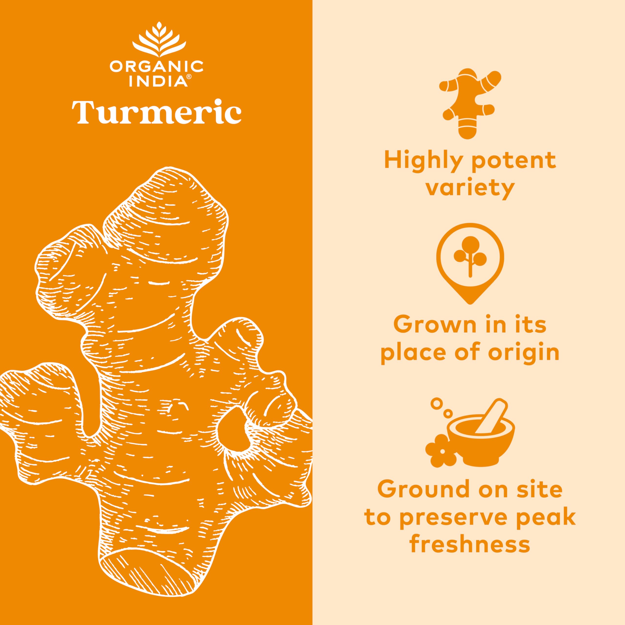 ORGANIC INDIA Turmeric Curcumin bottle back label with nutritional info aiding absorption