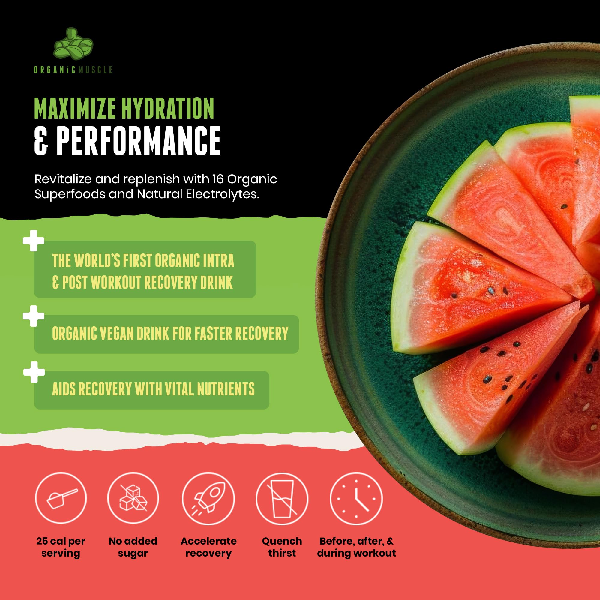 Organic Muscle Hydrator watermelon tub back highlights ingredients for clean hydration.