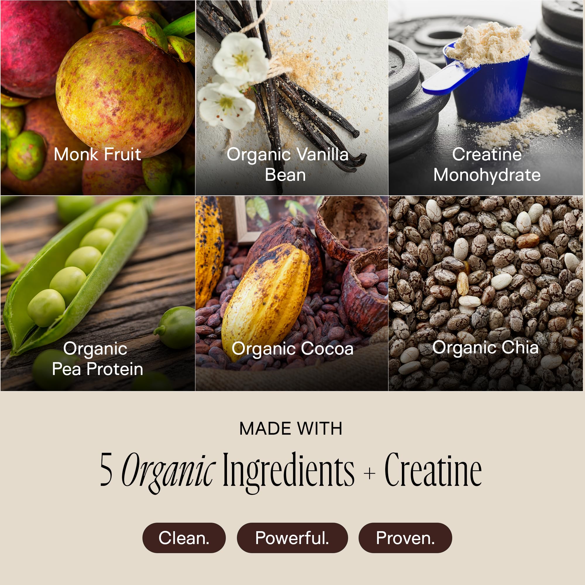 Organic pea and pumpkin seed ingredients label emphasizing clean nutrition