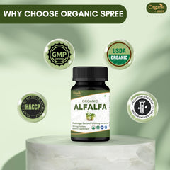 Tablets inside bottle—easy daily dosing on busy mornings.