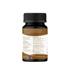 GMP-certified facility behind ORGANIC SPREE Haritaki tablets.