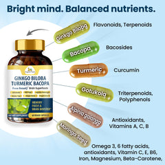 Organic Veda capsules in hand convey portable brain support for busy days