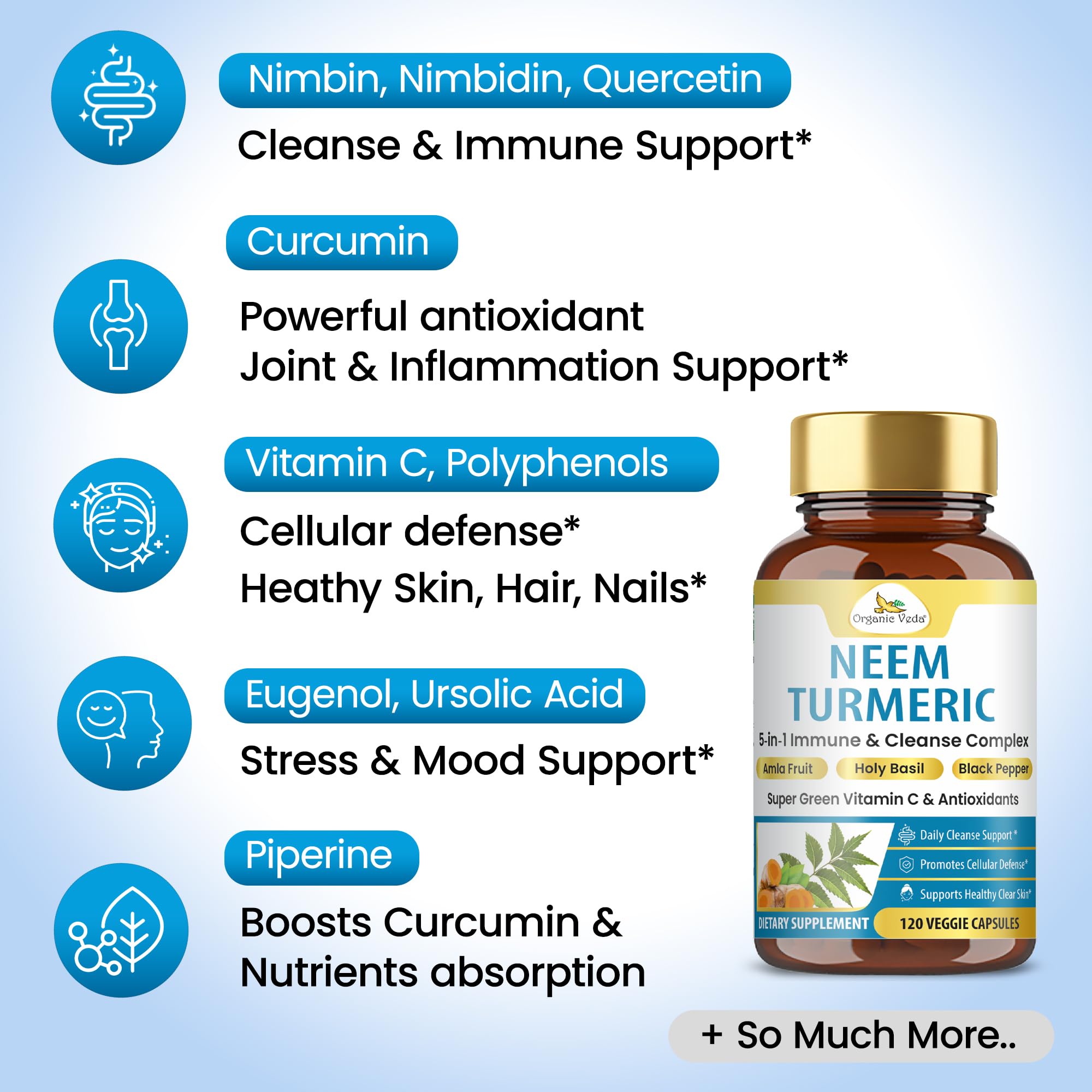 Organic Veda Vegan non-GMO formula bottle emphasizes clean, dairy-free wellness.
