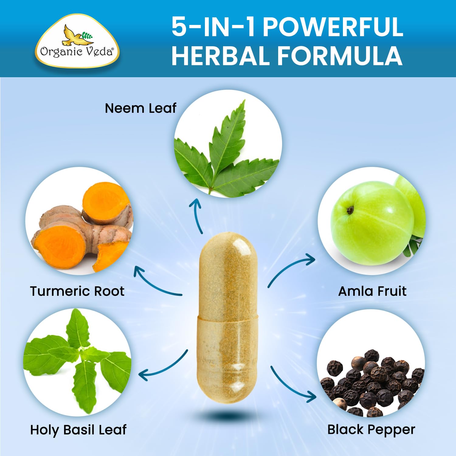Organic Veda Holy Basil adaptogenic leaves image conveys daily calm and resilience.