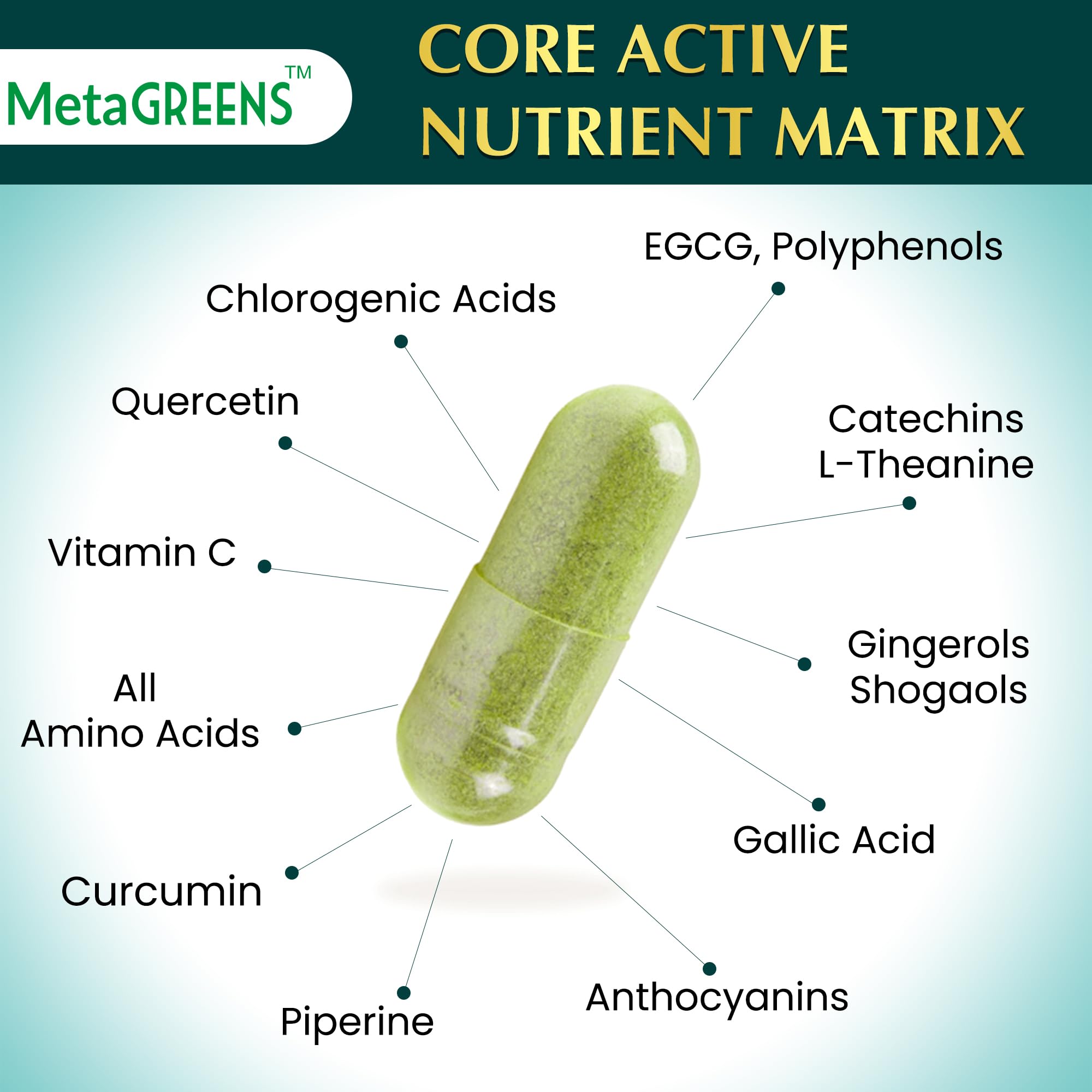Organic Veda MetaGREENS packaging reveals 10-in-1 blend and EGCG potency.