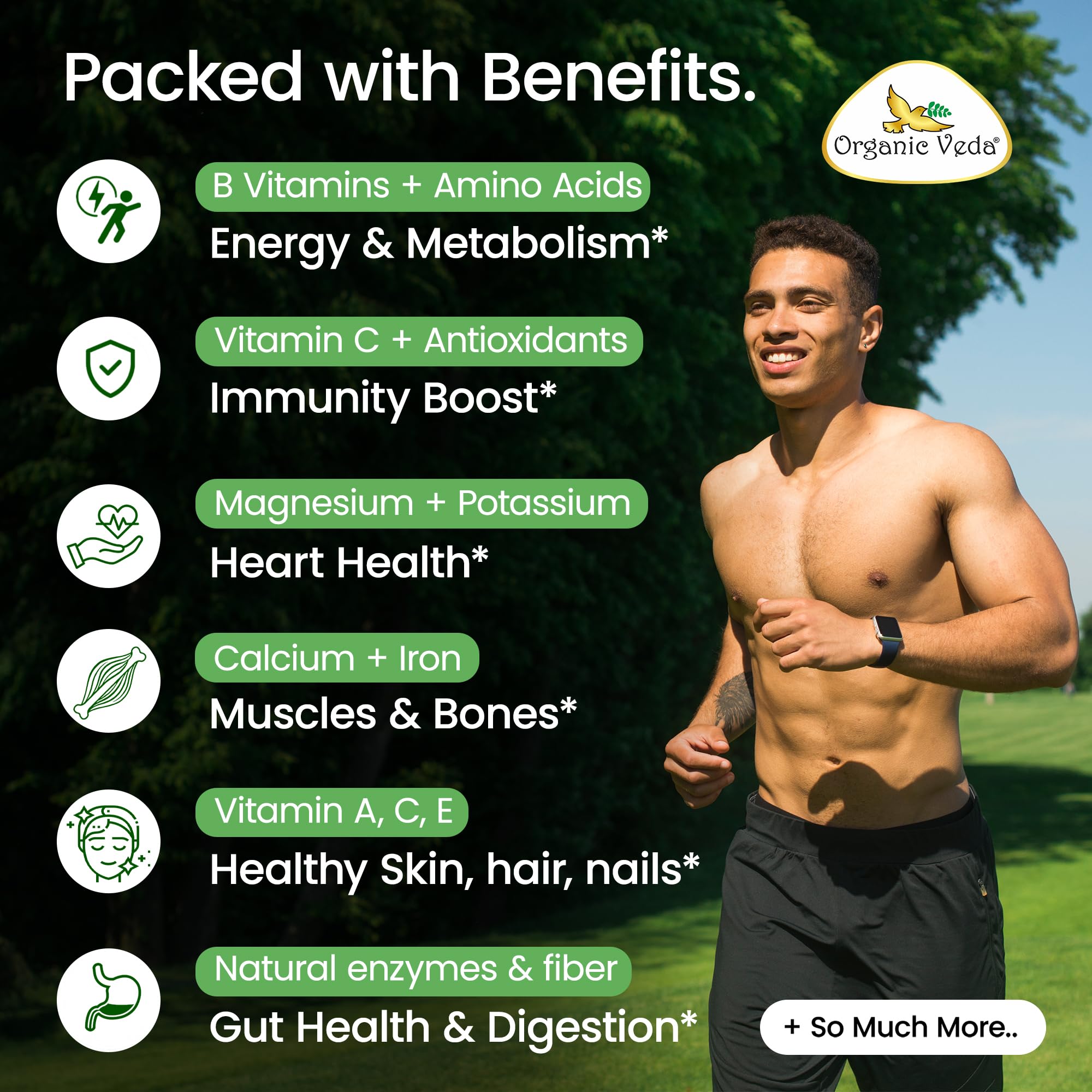 Organic Veda Moringa ingredients list highlights plant protein and amino acids.