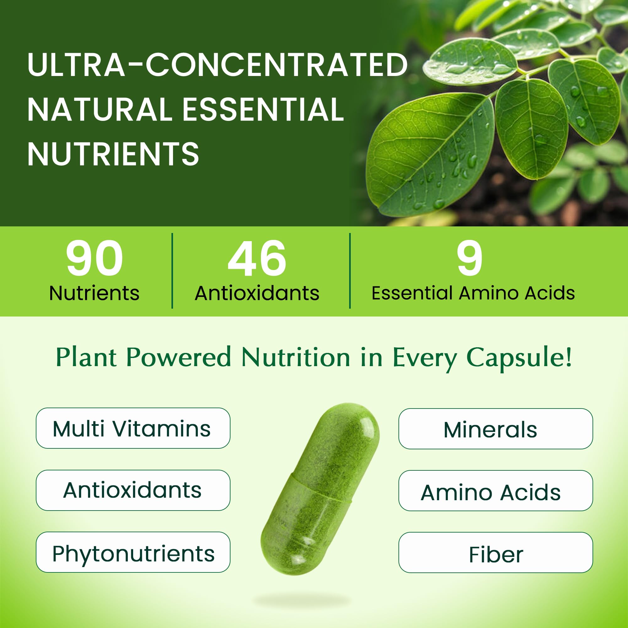 Organic Veda Moringa leaves powder closeup emphasizes nutrient-dense greens.