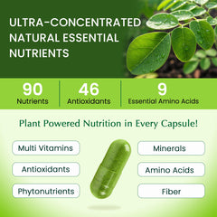 Organic Veda Moringa leaves powder closeup emphasizes nutrient-dense greens.