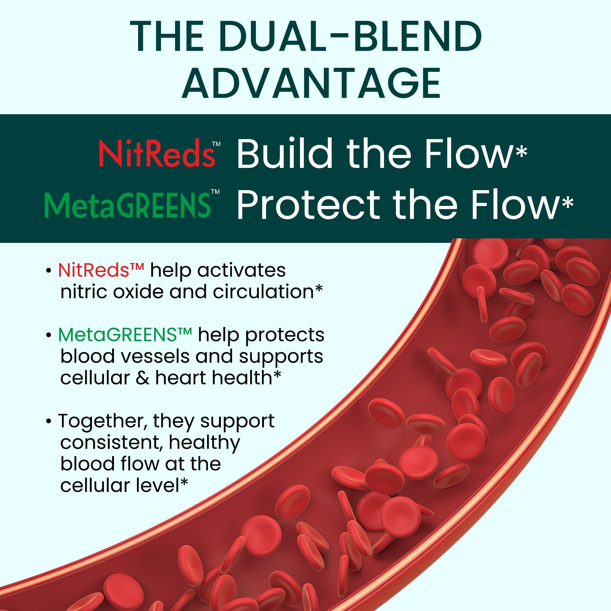 NitReds capsules on a spoon for easy daily intake and vitality.