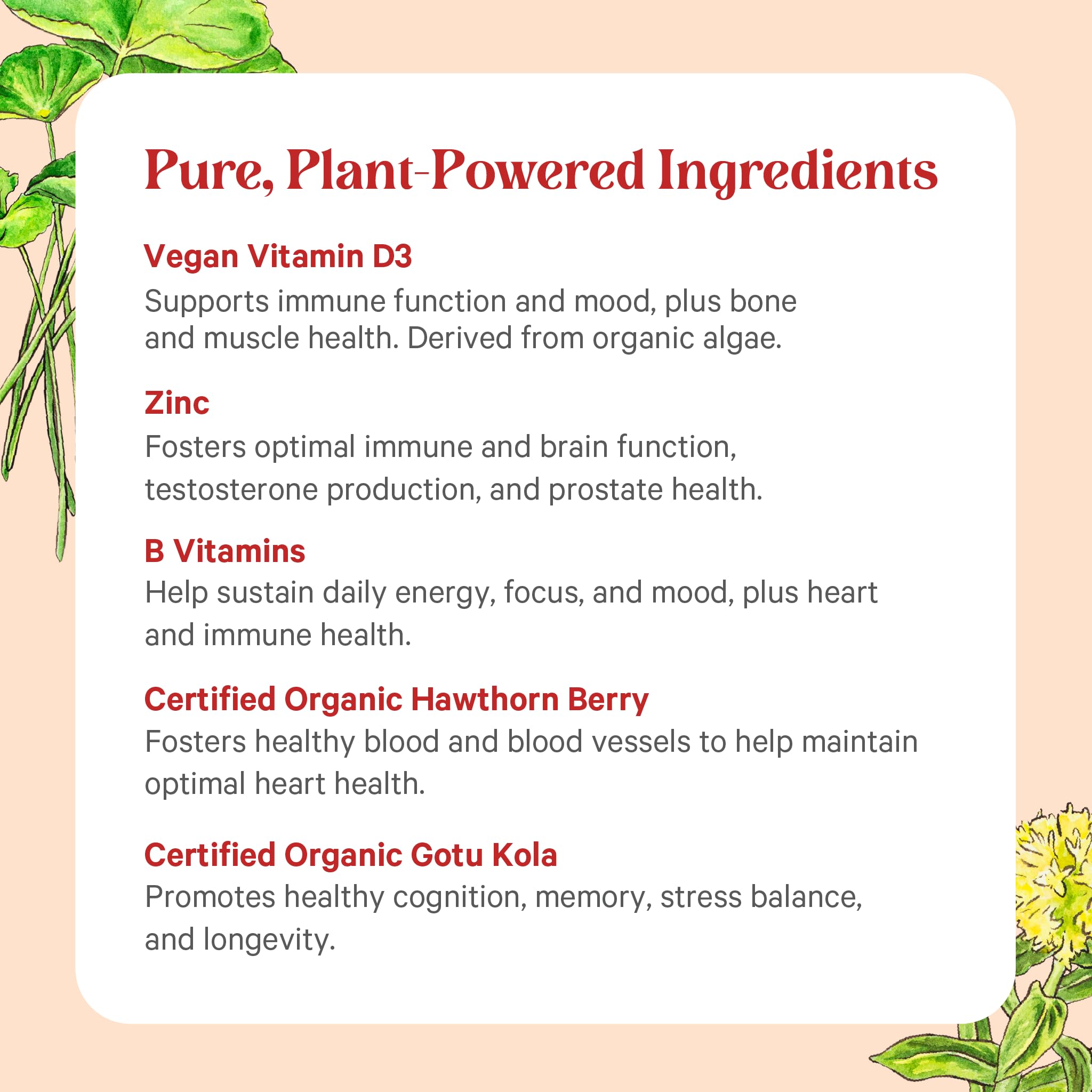 Organic whole-food ingredients label signals vegan, non-GMO formula.