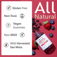 ORGANICS NATURE vegan label highlights allergen-free, plant-based nutrition.