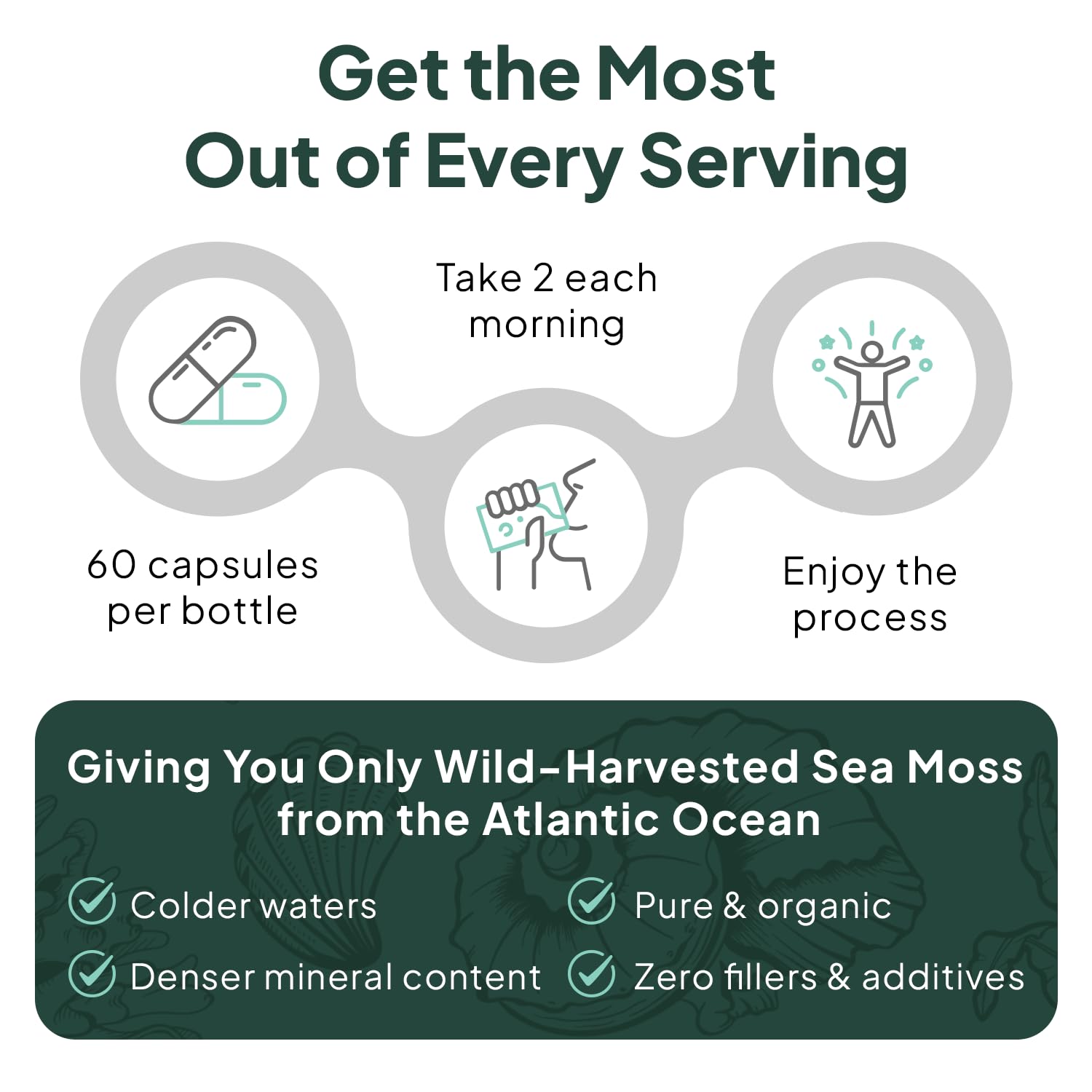 Organics Ocean Atlantic-sourced sea moss product packaging and label