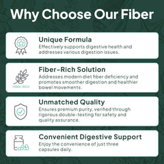 Organics Ocean Better Fiber blend closeup highlighting digestive comfort