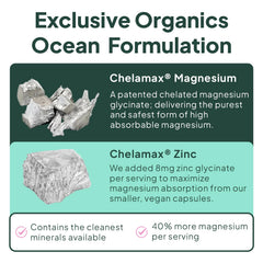 Organics Ocean chelated formulation illustration highlighting easy digestion and daily use.