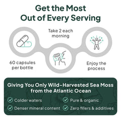 Organics Ocean close-up mineral detail emphasizes multi-mineral benefits.