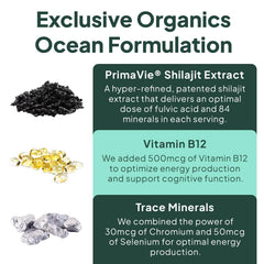 Gummy with B12 and minerals representing sustained energy and hormone support.