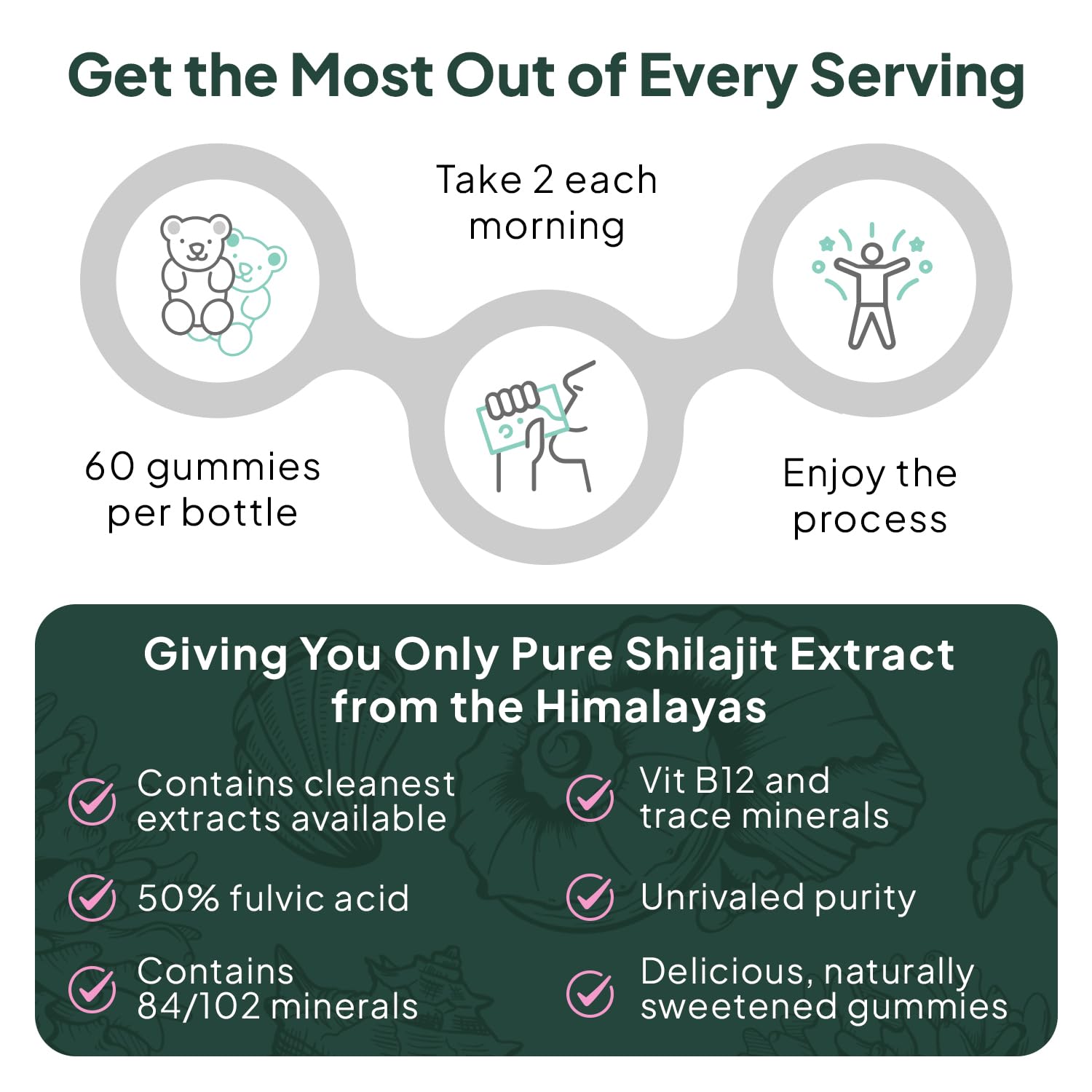 Organics Ocean Shilajit Gummies in use for daily wellness.