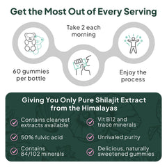 Organics Ocean Shilajit Gummies in use for daily wellness.
