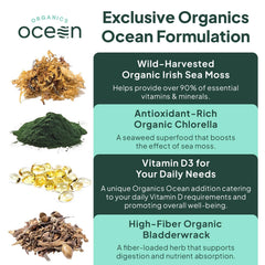 Organics Ocean Wild Sea Moss bottle against Atlantic harvest imagery for mineral-dense nutrition