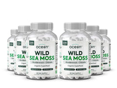 Organics Ocean Wild Sea Moss capsules bottle for easy daily energy and immunity support