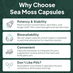 Organics Ocean Sea Moss Capsules with vitamin D3 showcase energy and immune support potential