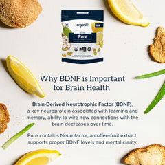 Organifi Pure lion mane visual suggests natural brain support for focus and productivity